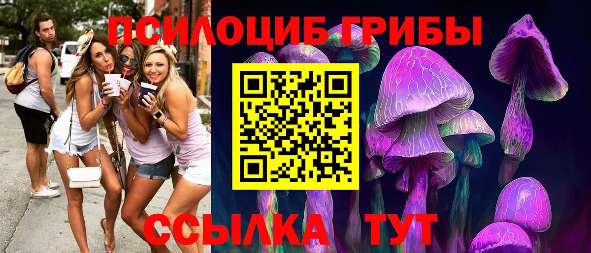 Галлюциногенные грибы GOLDEN TEACHER  Галлюциногенные грибы Cubensis  Белорецк  Вход с VPN 